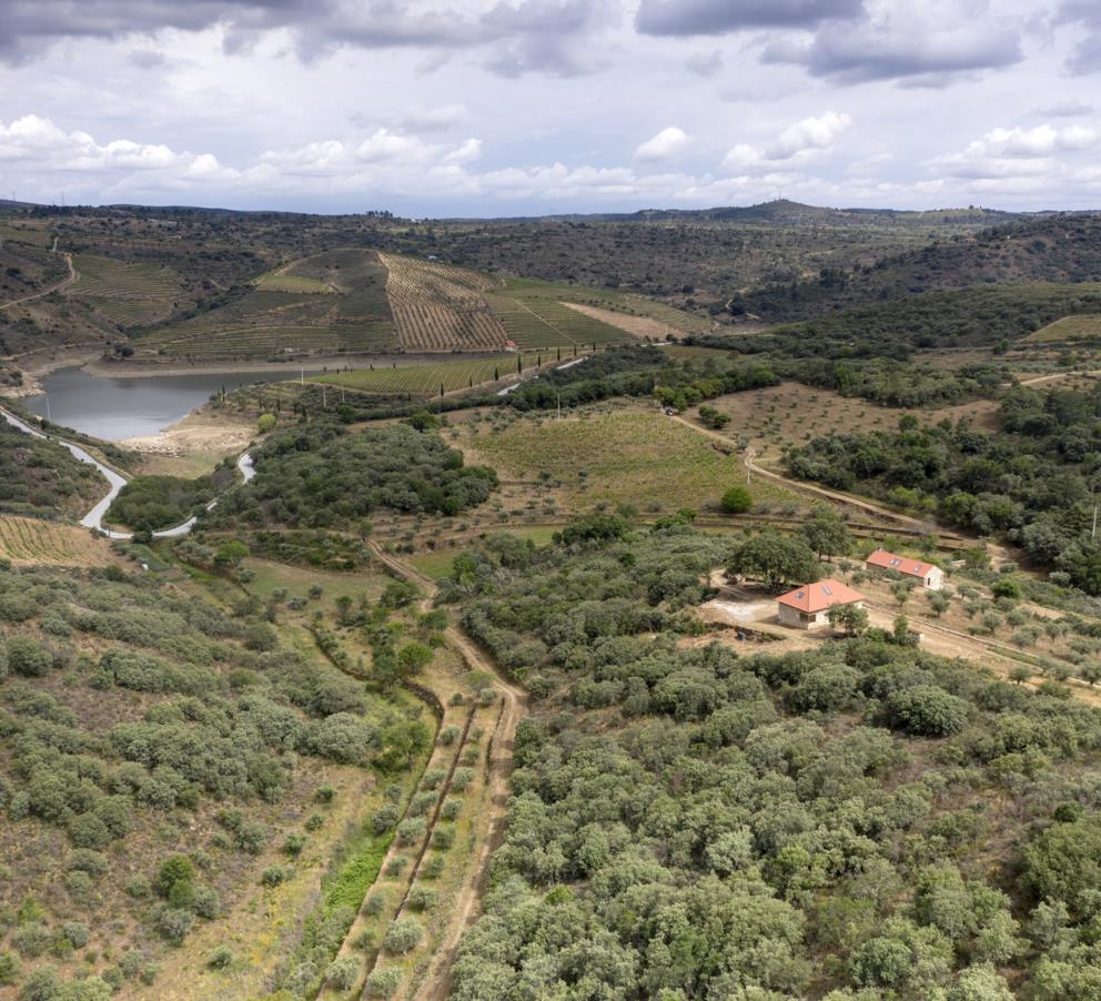 Quinta da Vineadouro – Familiewijngaarden en wijnhotel
